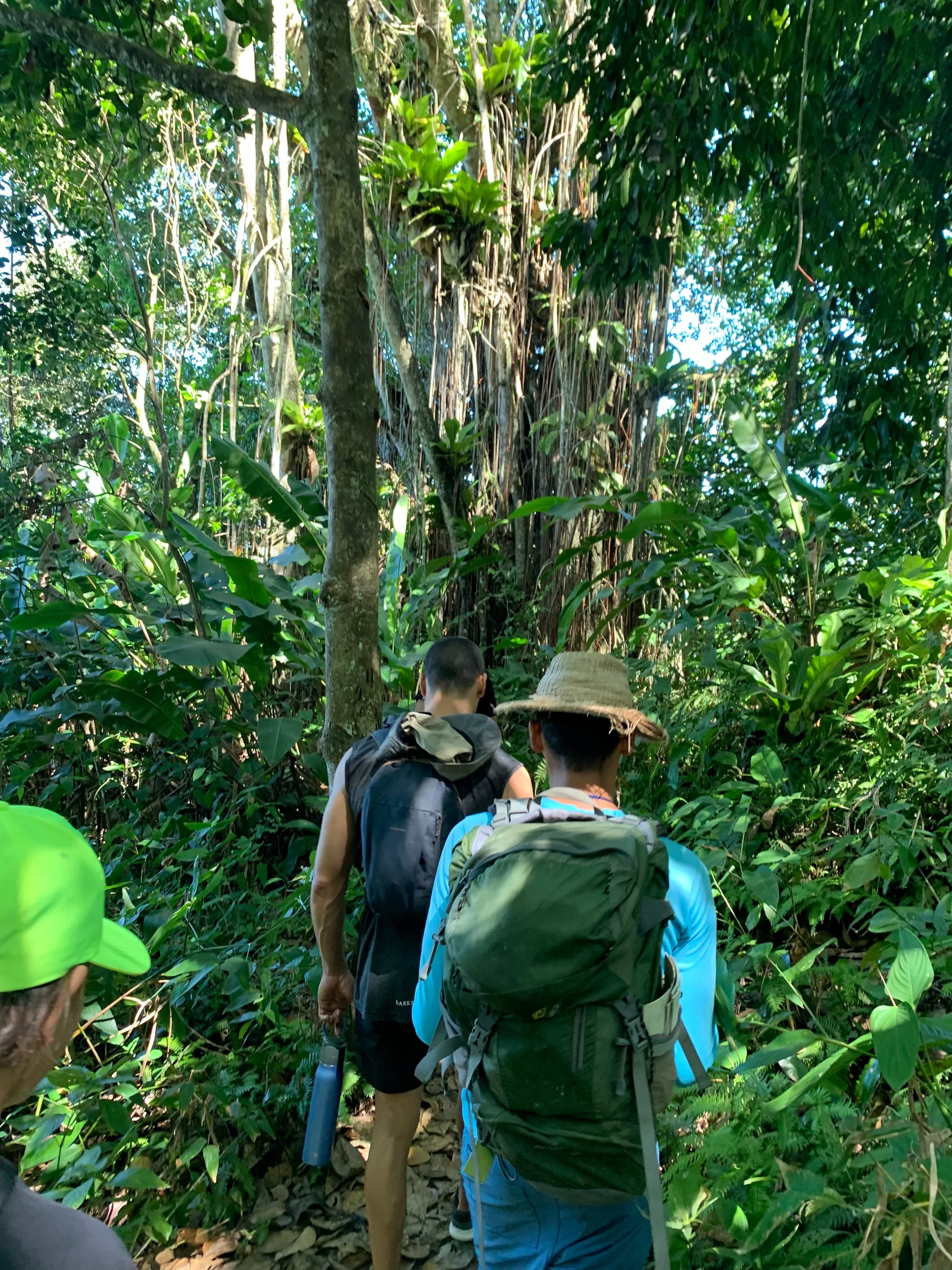 Cerro El Copey