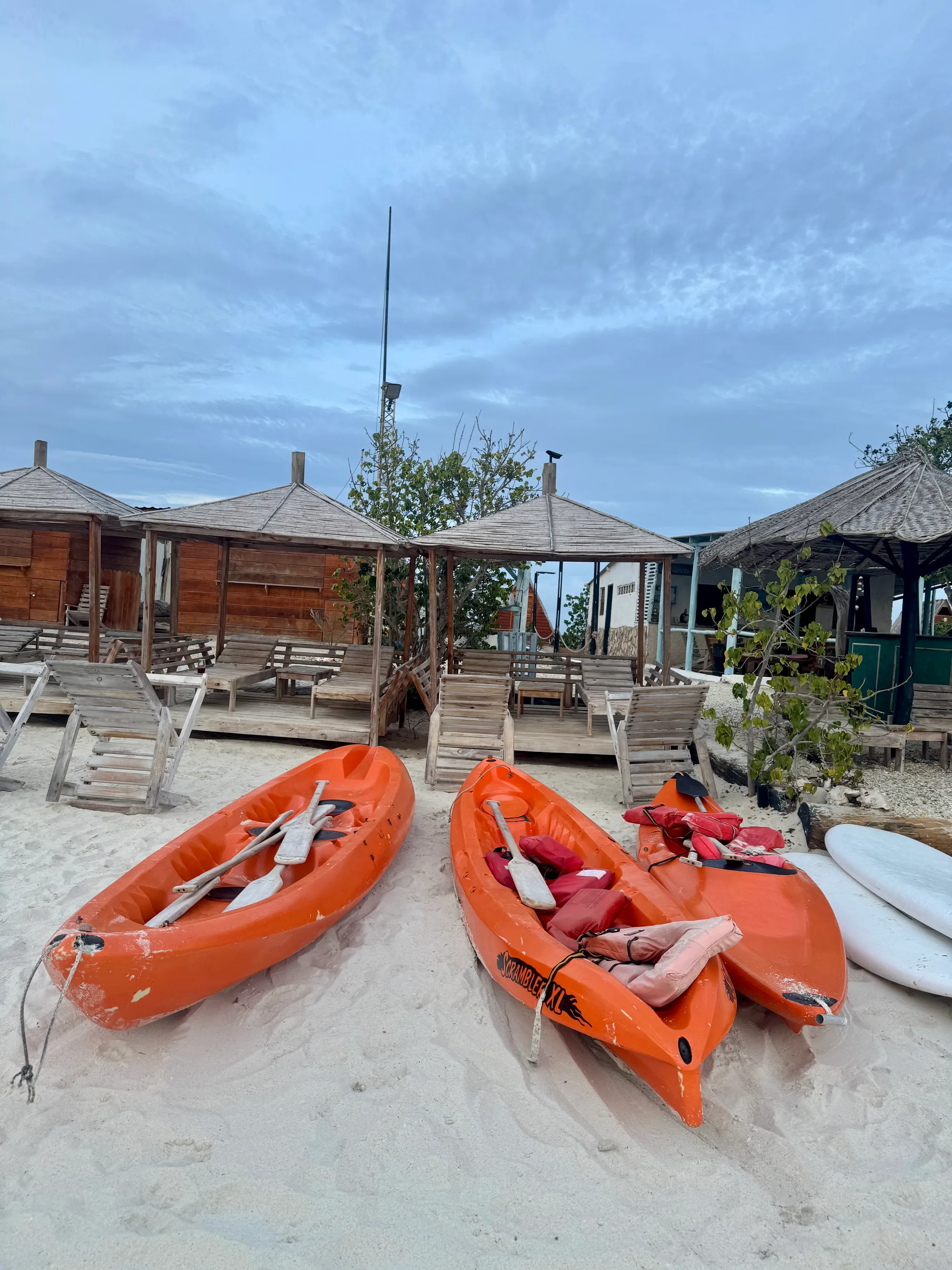Kayak entre los manglares